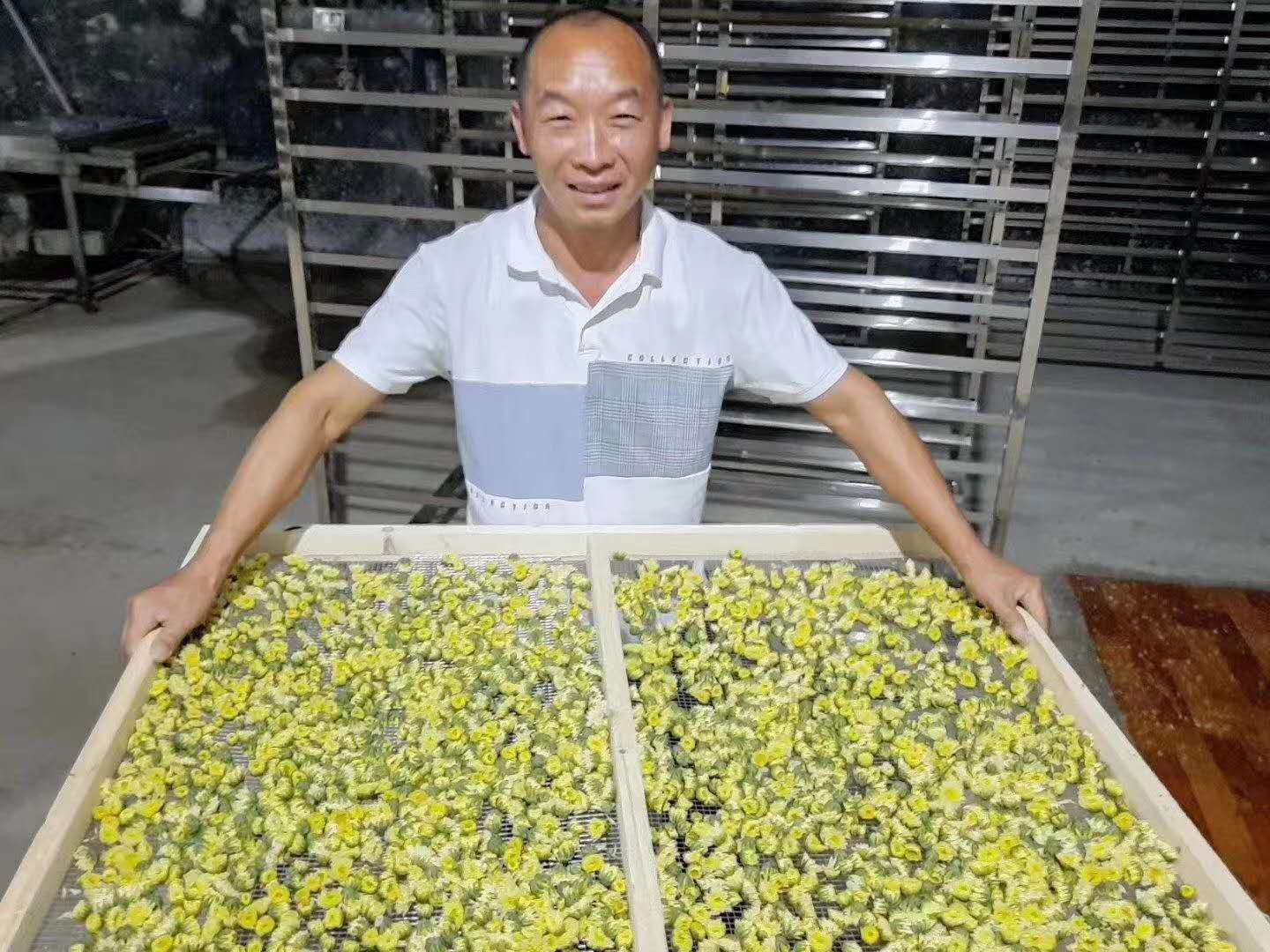 菊花烘干機(jī)